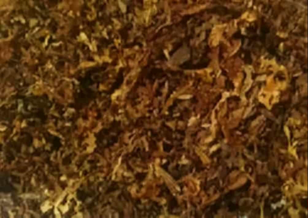 Детальный вид измельченных стеблей табака